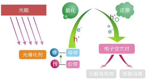  -jinnianhui | jinnian