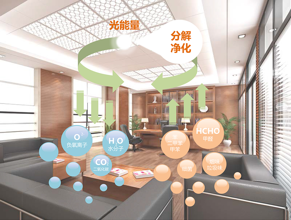  -jinnianhui | jinnian