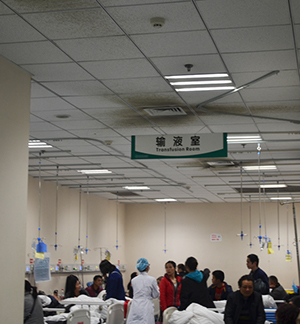  -jinnianhui | jinnian