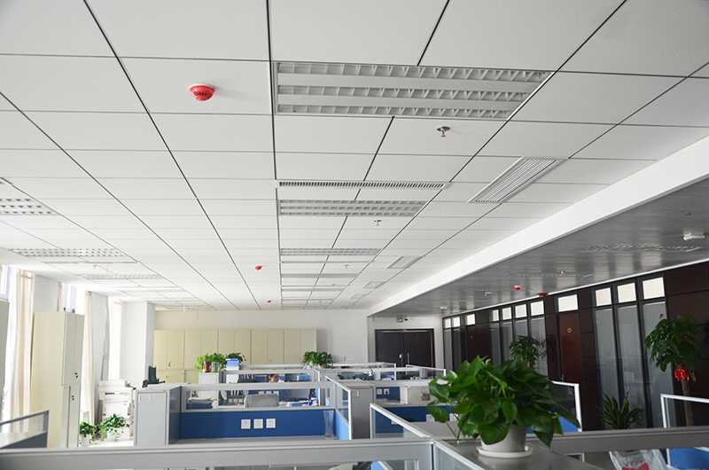  -jinnianhui | jinnian