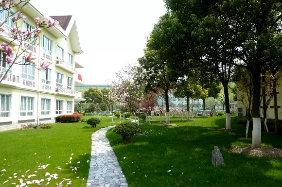 -jinnianhui | jinnian
