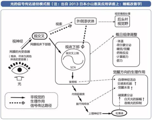  -jinnianhui | jinnian
