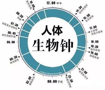 -jinnianhui | jinnian