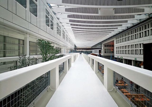 -jinnianhui | jinnian