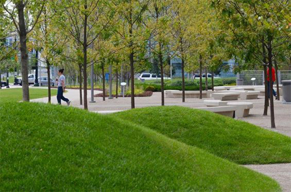  -jinnianhui | jinnian