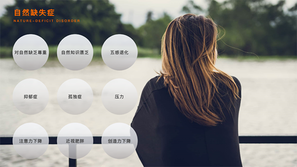  -jinnianhui | jinnian