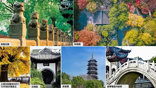  -jinnianhui | jinnian